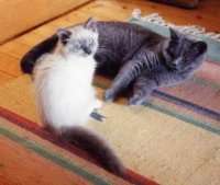 Abs und Smilla