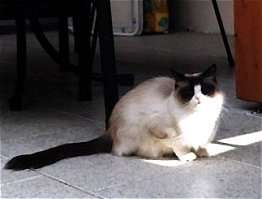 Beide aneinander gekuschelt