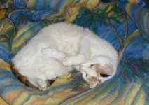 Im Bett f�hl ich mich wohl
