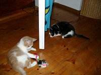 Beide beim Spielen