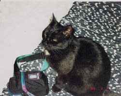 Bagheera