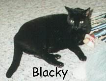Blacky
