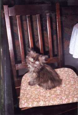 Buffy