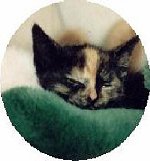Cleo als Baby