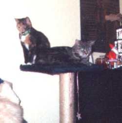 Chanice und Mascha