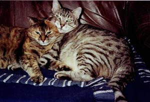 Zora und Laurin