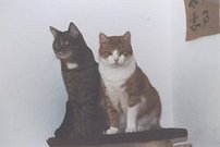 Felix und Pepper