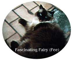 Fee