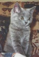 Fl�ckchen