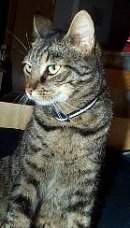 Franzi