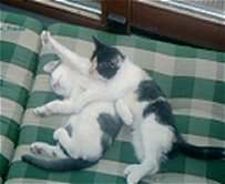 Freda und Karlchen