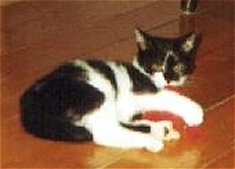 Fritzi�s Spielstunde