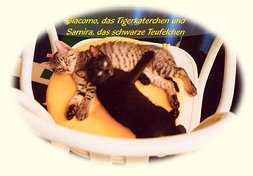 Samira und Giacomo