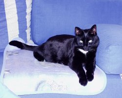 Gina-Katz
