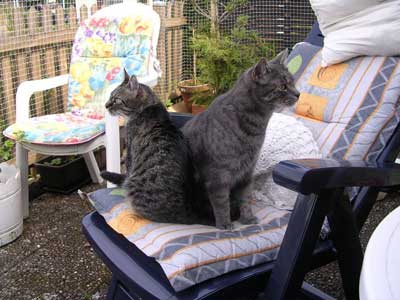 Emely und Kai