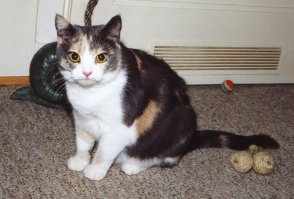 Kati