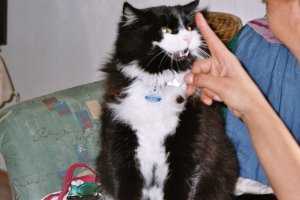 Larry will bei�en