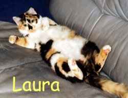 Laura