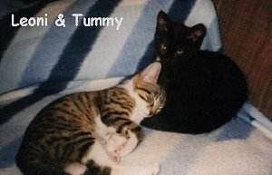 Kuscheln ist sch�n!