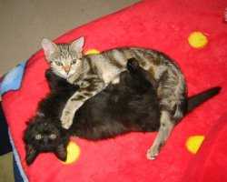 Lilly und Mia