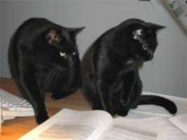 Lissi und Peppi