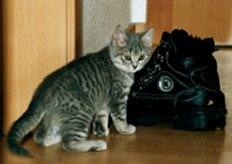 Schuhgro�e Lola