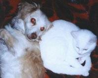 Luna und Tarras