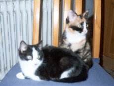 Maggie und Tom