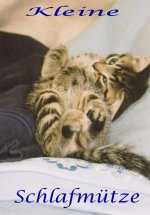 In Schlafposition