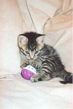 Maja mit Ball