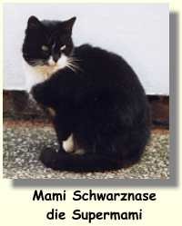 Mami Schwarznase