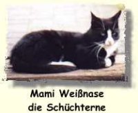Mami Weissnase