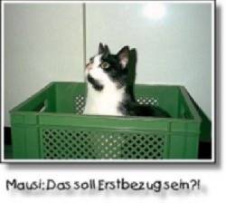 Mausi