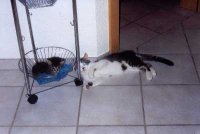 Merlin und Lea