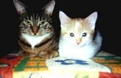Miro und Luzie