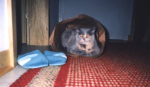 Mimi in ihrer Papiert�tenh�hle