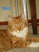 Mio in Gro�aufnahme
