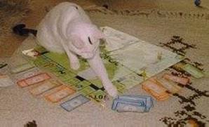Monopoly