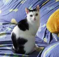 Mucki