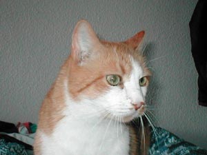 Rusty