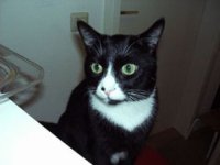 Pixel