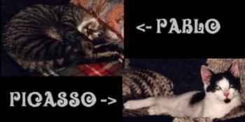 Pablo und Picasso
