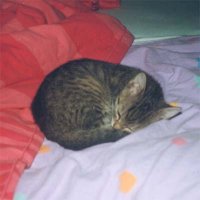 Puck als er noch j�nger war!