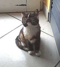 Sally