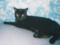 Samira