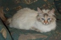 Sina mit 2 Jahren