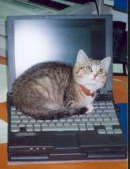 Cyber-Sissi