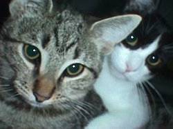 Sissy und Kiwi