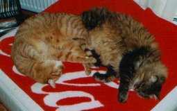 Susi und Bruno