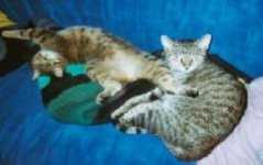 Tinka und Milli